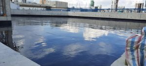 48d4c2337a66a438fd77