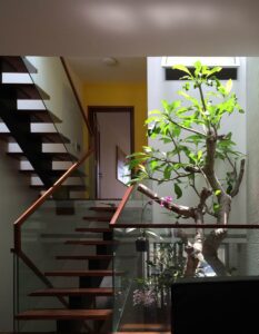 02 54LL House 3 4375 1685673585