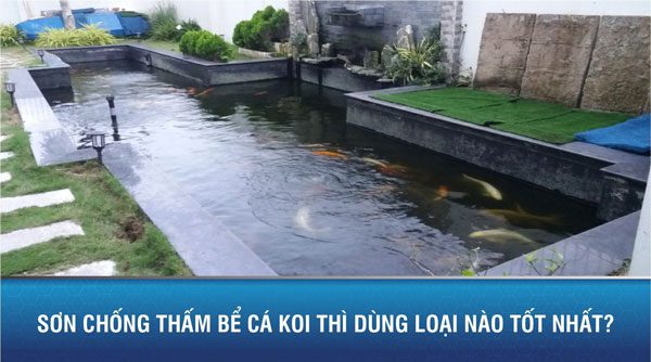 Sơn chống thấm bể cá koi thì dùng loại nào tốt nhất? 1 Sơn chống thấm bể cá koi