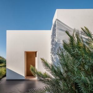 a3651d10e0c5359b6cd4