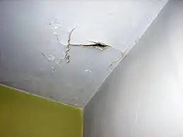 Trần nhà bị nứt: Nguyên nhân và cách xử lý hiệu quả