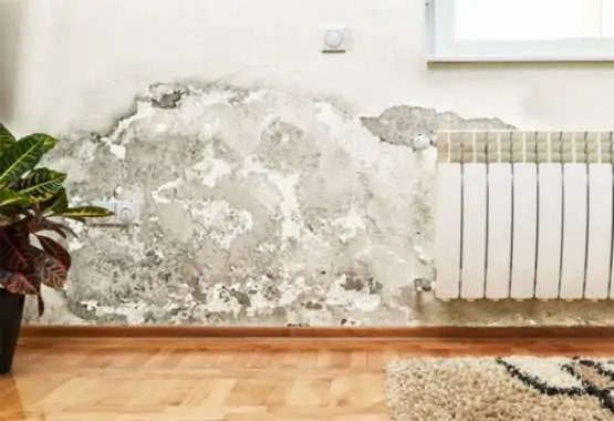 nut tuong